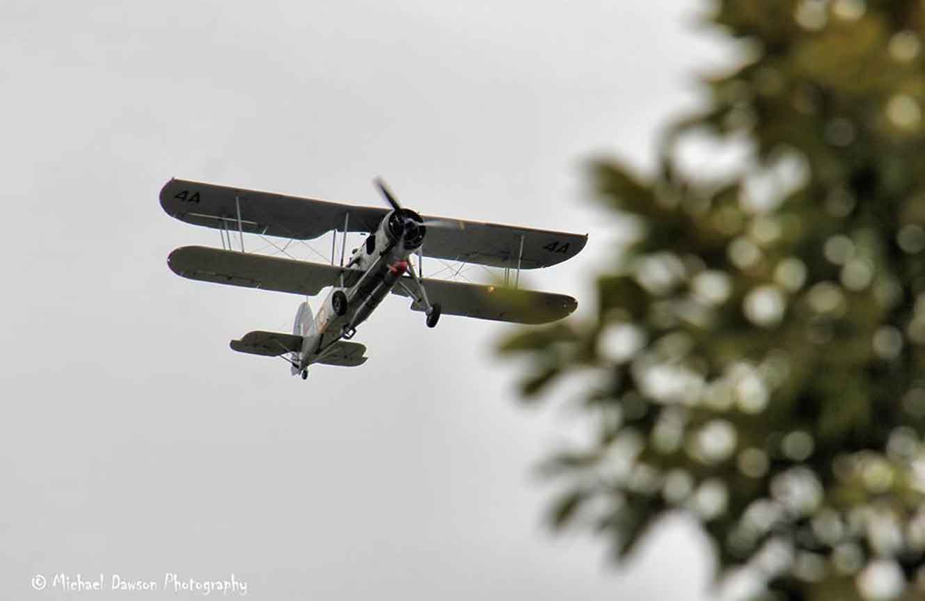 Bull & Dog Swordfish Fly Over pic