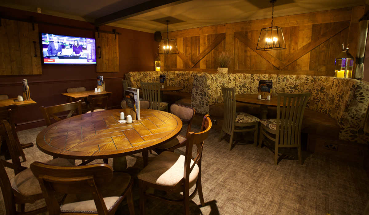 coach horses interior